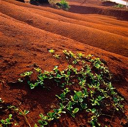 索尼中国之星计划《觉醒异刃》宣布2024年第三季度发售